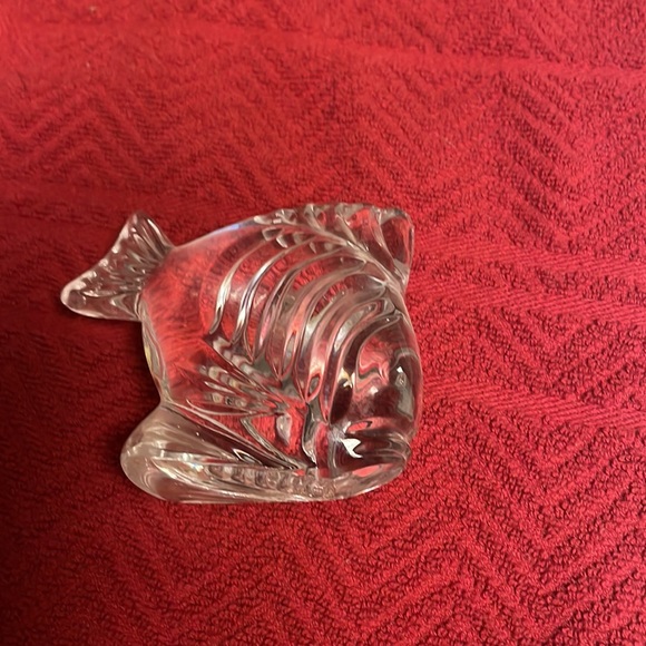 Glass fish - Picture 2 of 3